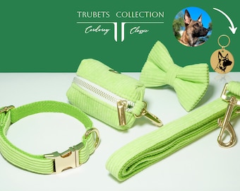 Conjunto personalizado de collar para perro, pana verde, correa, pajarita, etiqueta con retrato