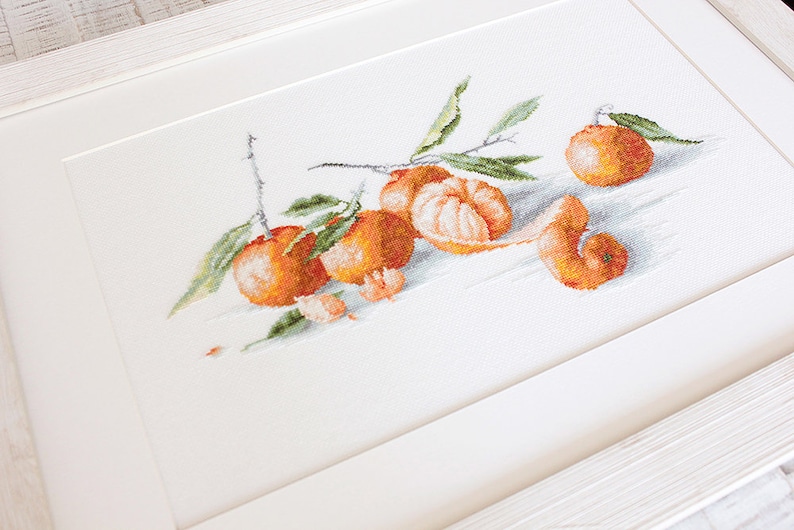 Fruit Embroidery Kit Cross Stitch Fruit Fruit Home Decor Fruit Design Kit Fruit Kit DIY Fruit Embroidery Fruit to Stitch Kit