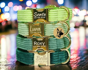 Conjunto personalizado de collar verde para perro, terciopelo grabado a medida, correa y pajarita