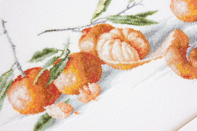 Fruit Embroidery Kit Cross Stitch Fruit Fruit Home Decor Fruit Design Kit Fruit Kit DIY Fruit Embroidery Fruit to Stitch Kit