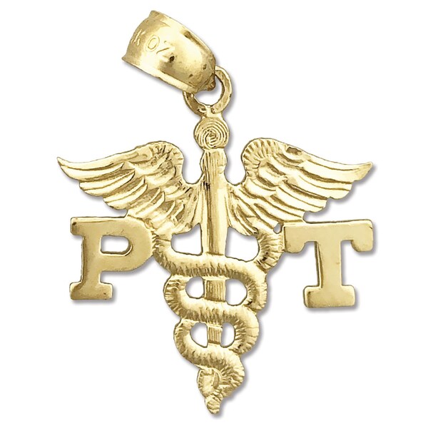 Physical Therapist Etsy