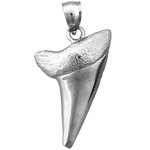 Rhodium Plated 925 Sterling Silver Shark Tooth Pendant