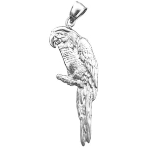 Rhodium Plated 925 Sterling Silver Macaw Pendant