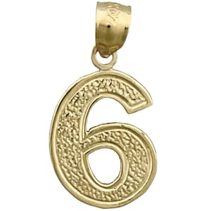 14K Gold Number 6 Charm