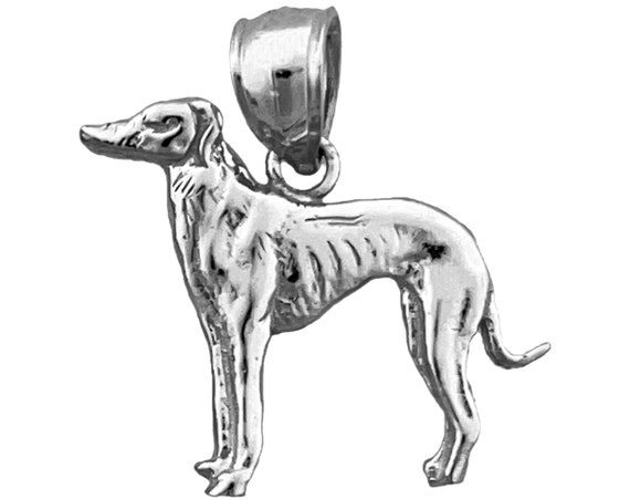 MATERIA Windhund Anhänger Silber 925 Hund rhodiniert