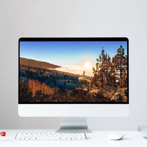 Lion Searching Wallpaper