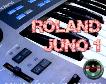 For Roland U 110 Factory And New Created Sound Library Etsy For Roland U 110 Factory And New Created Sound Library Etsy