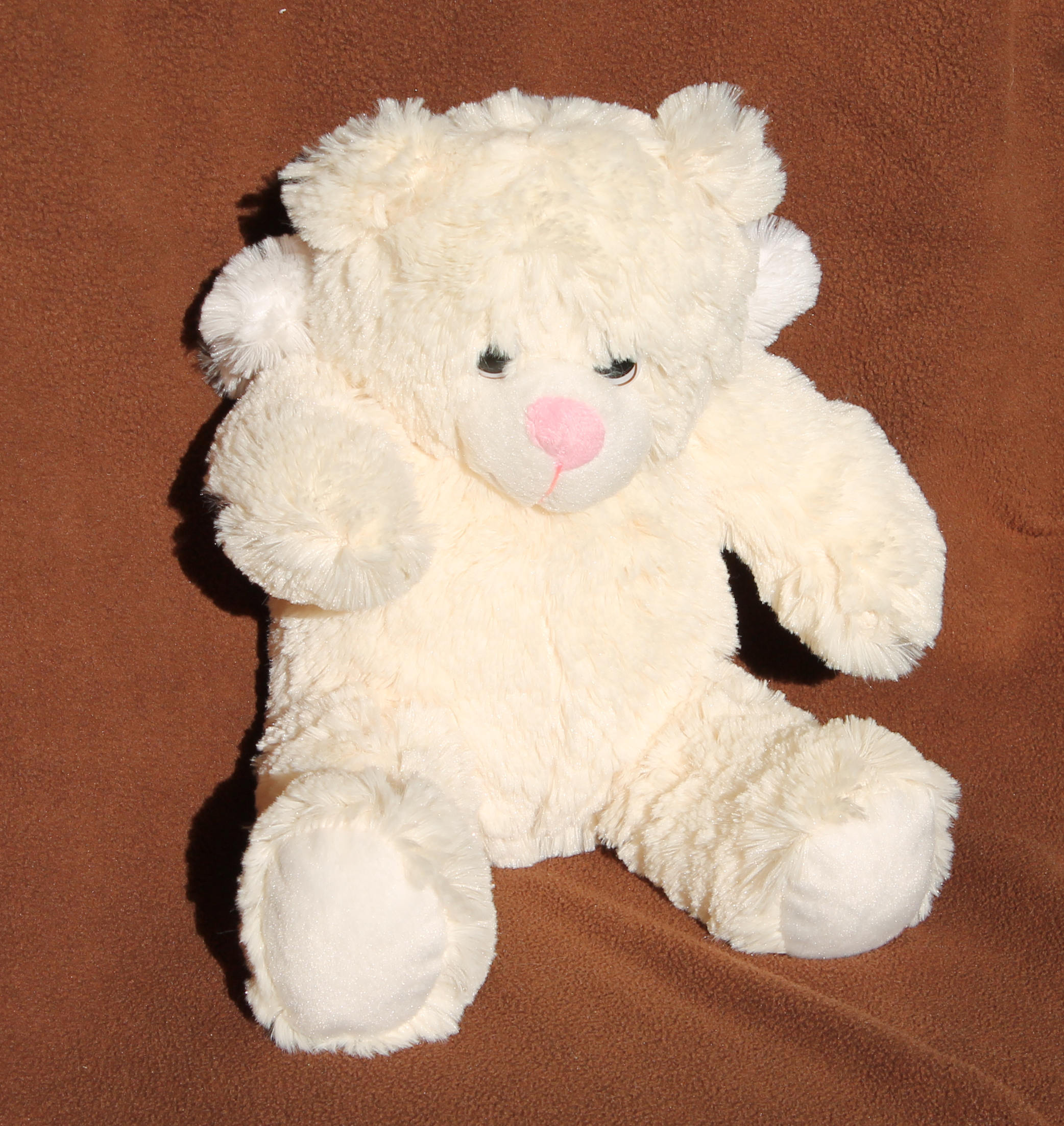 teddy bear with child's name