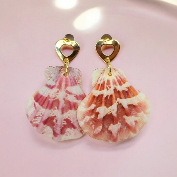 Sea shell earrings, shell earrings.  unique earrings. Sea shell jewelry, nautical earrings. Real shell earrings. Boho earrings. Custom gifts