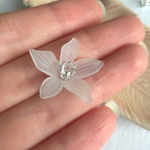 以下が含まれることがあります： 銀色の芯を持つ半透明の白い花。花は繊細で、5枚の花びらがあります。