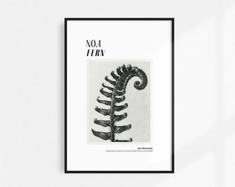 Karl Blossfeldt, No. 4 Print | Photography Printable | Digital Download | Black and White Photography | Graphic Design | Gallery Wall Decor