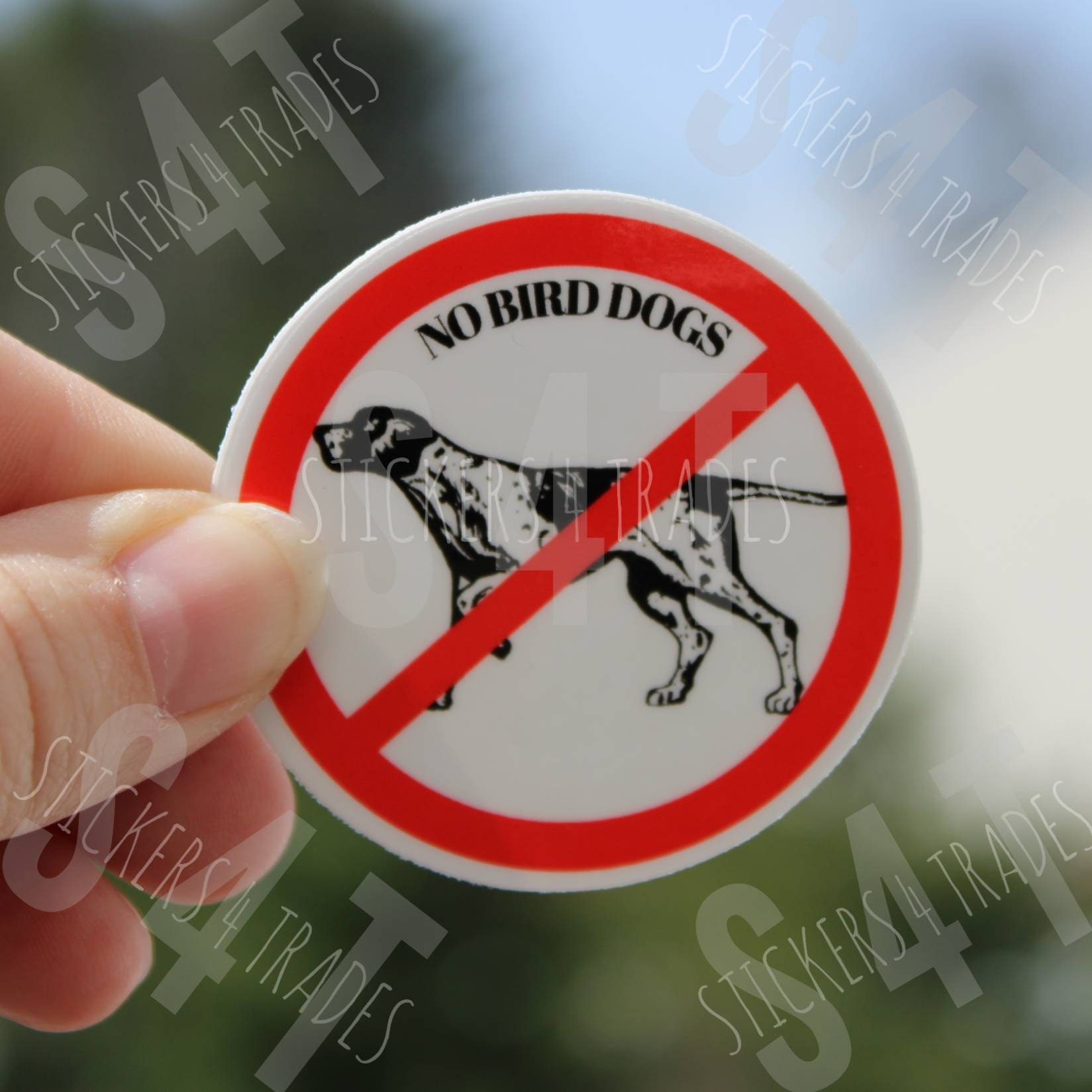 No bird hotsell dogs