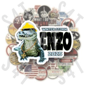 2025 Winter Storm Enzo Lineman Hard Hat Sticker Louisiana Snow Gift Union Arborist Fleur de Lis
