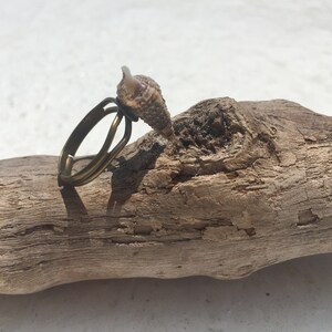 May include: An adjustable ring featuring a small, conical, brown and tan patterned seashell attached to a dark bronze-toned metal band. The ring is positioned on a piece of weathered, light brown driftwood with a textured, gnarled surface.