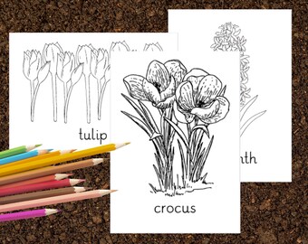 Early Blooms - Coloring Pages