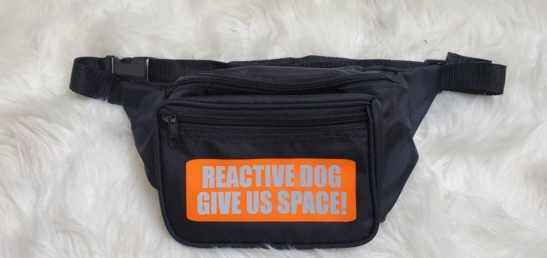 Custom Dog Treat Fanny Pack Dog Training Dog Gift Dog Lover Dog Treats