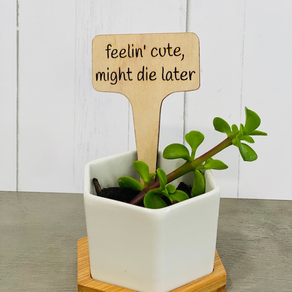 Feelin’ Cute Might Die Later Plant Marker, Funny Plant Sign, Plant Markers, Garden Markers, Garden Stake, Wood Garden Markers, Gardening
