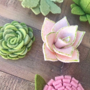 Succulent Set, 21 piece, Vertical Garden, felt succulents, blush felt flowers, wreaths, signs, letters, diy home, wedding, baby shower, gift imagen 3