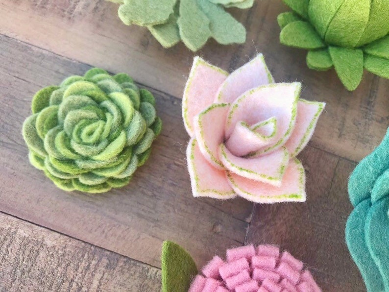 Succulent Set, 21 piece, Vertical Garden, felt succulents, blush felt flowers, wreaths, signs, letters, diy home, wedding, baby shower, gift imagen 3