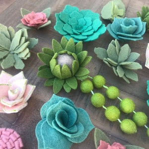 Succulent Set, 21 piece, Vertical Garden, felt succulents, blush felt flowers, wreaths, signs, letters, diy home, wedding, baby shower, gift imagen 2