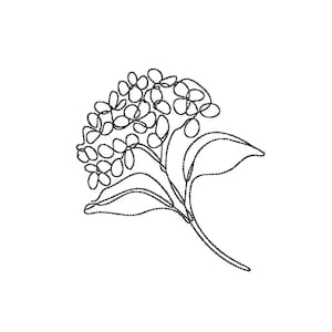 May include: Black and white line art illustration of a hydrangea flower. The image features a detailed outline of the flower's clustered blooms, leaves, and stem against a white background. The design is suitable for embroidery or coloring.