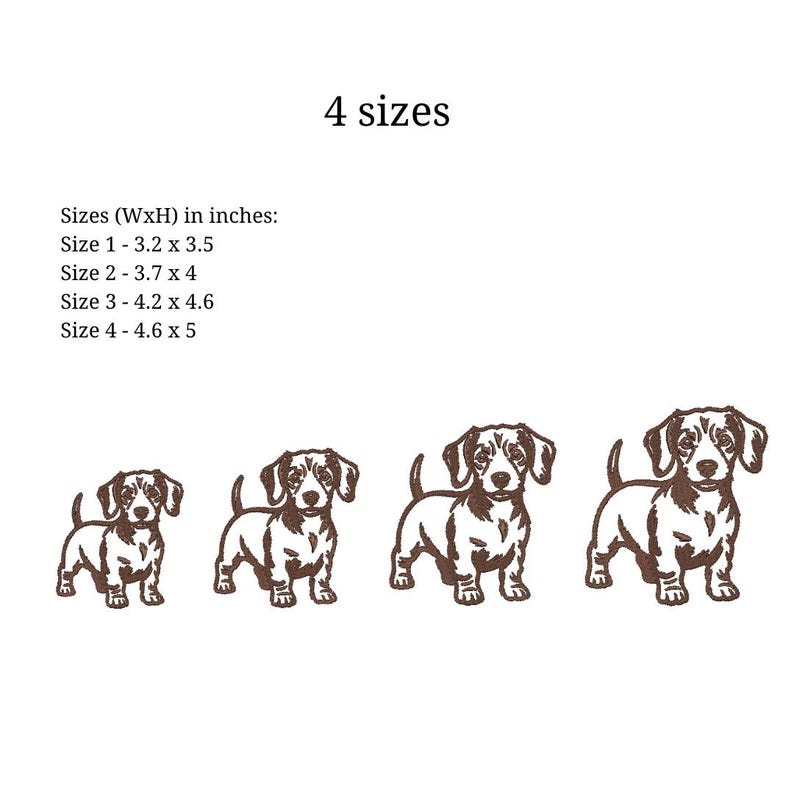 May include: Four brown dachshund dog designs in different sizes, ranging from 3.2 x 3.5 inches to 4.6 x 5 inches. The text "4 sizes" is above the dogs, with size details below.