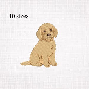 Peut inclure: Un motif de broderie représentant un chiot de couleur dorée assis, avec des yeux et un museau marron foncé. Le texte "10 sizes" est imprimé en noir à gauche du chiot. Le motif est présenté sur un fond blanc à la texture visible.