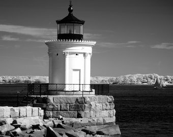 Bug Lighthouse-2 Oct 2023 (BW1911)