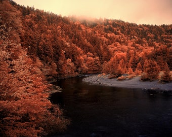 Big Salmon River-Fundy Trail- 5 Oct 2023 (IR1907)