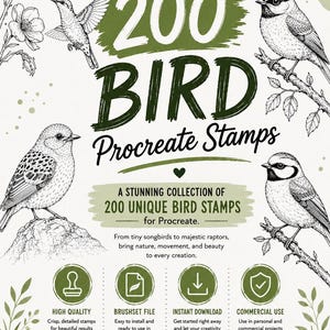 Peut inclure: Publicité pour 200 tampons d'oiseaux pour Procreate. L'image présente des illustrations détaillées d'oiseaux et le texte "200 BIRD Procreate Stamps". Des informations supplémentaires mettent en avant la haute qualité et l'utilisation commerciale.