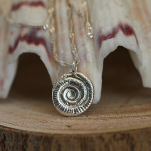 May include: A silver-coloured pendant shaped like a spiral ammonite fossil, suspended from a thin, matching silver-coloured chain. The pendant features a textured, circular design with radiating grooves that mimic the natural form of a shell.