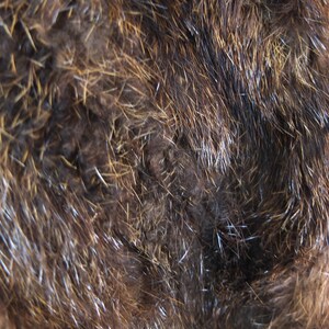 May include: Close-up of brown fur with a mix of dark and light brown hairs. The fur is soft and fluffy, with a slight sheen.