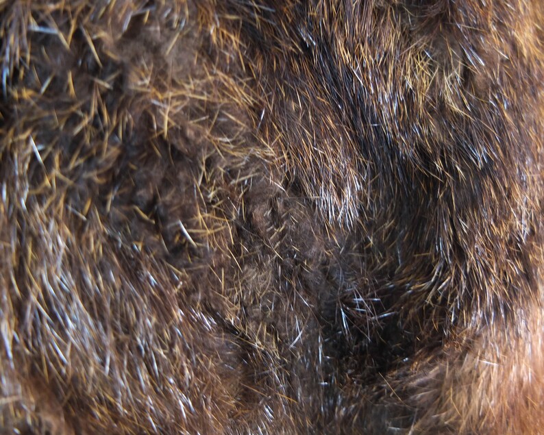 May include: Close-up of brown fur with a mix of dark and light brown hairs. The fur is soft and fluffy, with a slight sheen.