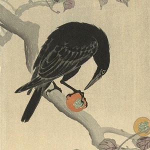 Japanese Art Print "Crow Eating a Persimmon" by Ohara Koson, woodblock, giclée, print, fine art, asian art, cultural art