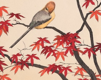 Japanese Art Print "Autumn" from the Series Birds of the Four Seasons by Yoshida Toshi, woodblock, giclée, print, fine art, Fall