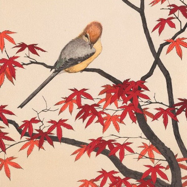 Japanischer Kunstdruck Herbst aus der Serie Birds of the Four Seasons von Yoshida Toshi