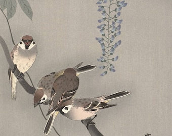Japanese Art Print "Sparrows and Wisteria" by Ohara Koson, woodblock, giclée, print, fine art, asian art, cultural art, blossoms