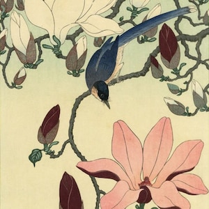 Japanese Art Print &quot;Magnolia and Black-winged Magpie&quot; by Ohara Koson, woodblock, giclée, print, fine art, asian art, cultural art