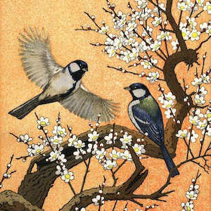 Japanse kunstprint "Spring" uit de serie Birds of the Four Seasons door Yoshida Toshi, woodblock, giclée, print, beeldende kunst, Aziatische kunst