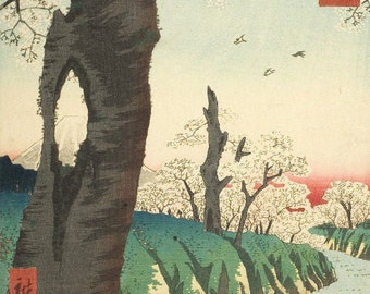 Japanese Art Print "Koganei in Musashi Province, 36 Views of Mount Fuji" by Hiroshige Utagawa, woodblock, giclée, print, cherry blossoms