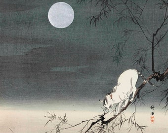 Japanese Art Print "Cat on Bamboo Branch" by Ohara Koson, woodblock, giclée, print, fine art, asian art, cultural art, moonlit, midnight