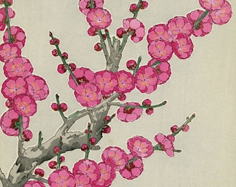 小原古邨「睡蓮に二匹の金魚」本物木版画 小原古邨による日本のアートプリント「睡蓮」、木版画、ジクレー