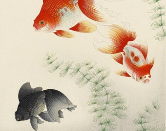 昭和レトロ 木製 フレーム 金魚 デメキン 3匹 水彩画 日本画