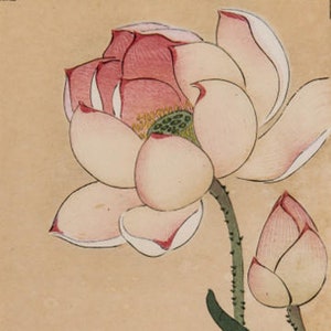 Japanese Art Print "Lotus and Rail" by Ohara Koson, woodblock, giclée, print, fine art, asian art, cultural art, floral