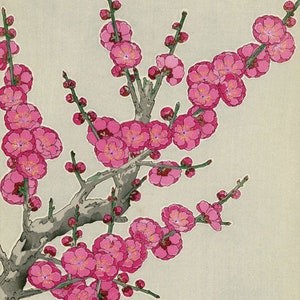 井出岳水作「朝顔」日本美術版画、木版画、ジクレー、版画、美術