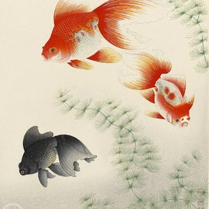 Japanese Art Print Goldfish by Ono Bakufu, woodblock, giclée, print, fine art, asian art, cultural art, aquatic, pet, fish image 1
