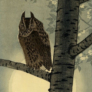 Impresión de arte japonés &quot;Búho a la luz de la luna&quot; de Kasamatsu Shiro, bloque de madera, giclée, impresión, bellas artes, arte asiático, arte cultural, luna, flores