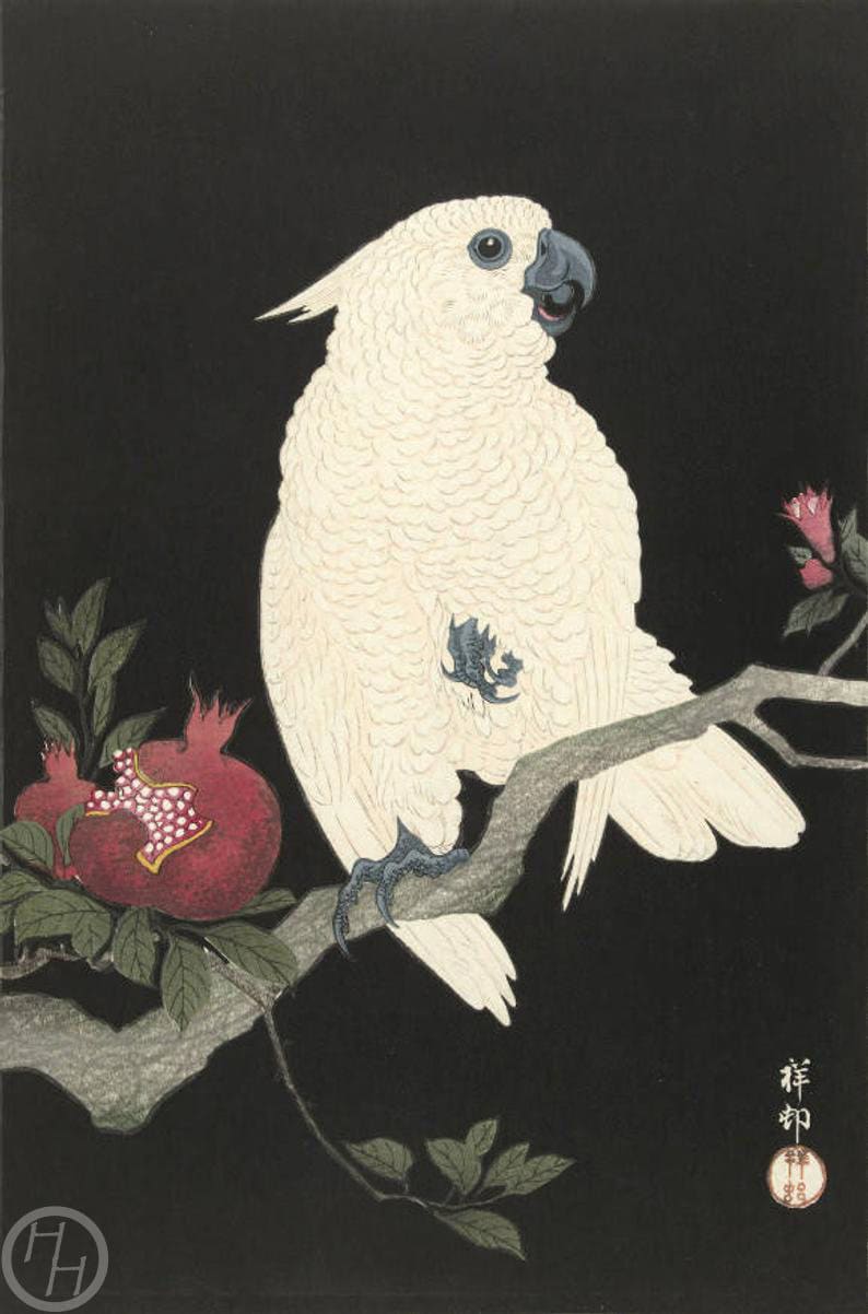 小原古邨による日本のアートプリント「ザクロを持つオウム」、木