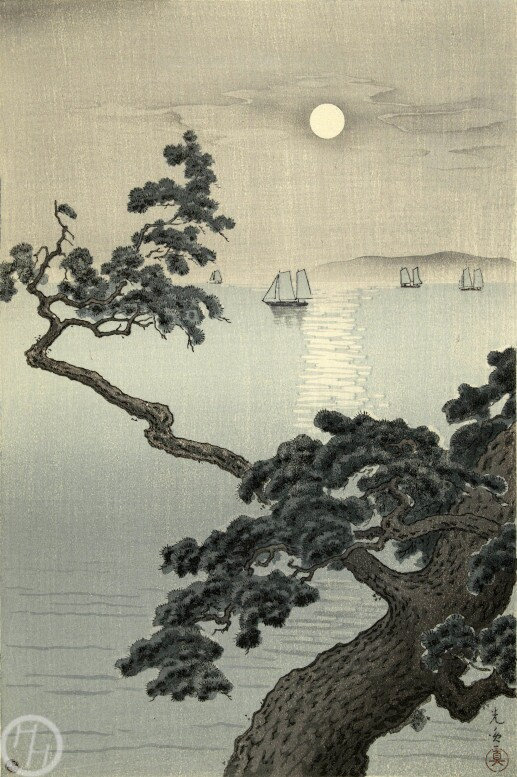 アート・デザイン・音楽 THE SCENIC ART OF SETSU ASAKURA THE SCENIC ART OF SETSU ASAKURA 本