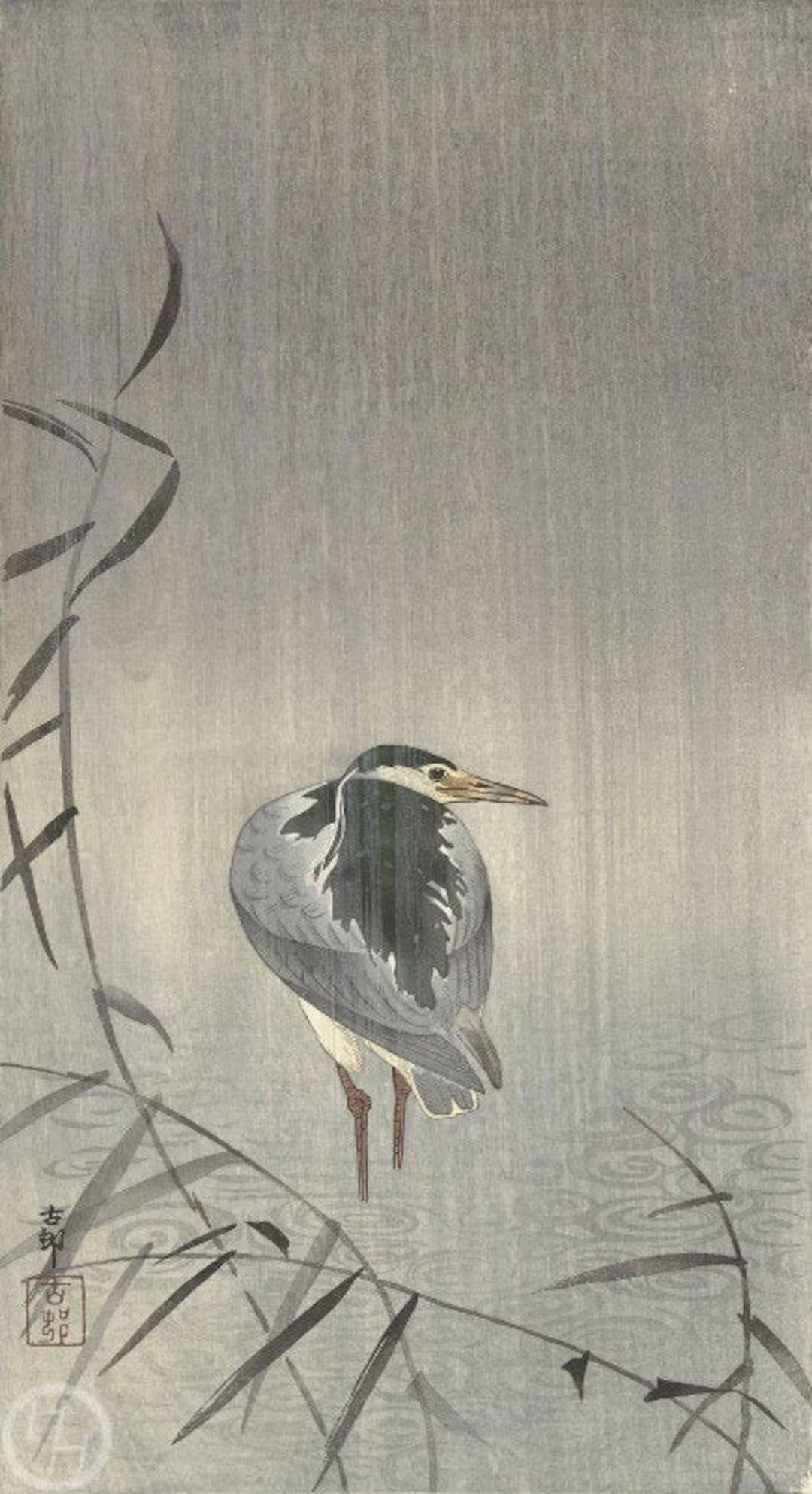 小原古邨「雨中の田鷸」木版画 小原古邨「雨中の田鷸」木版画 小原古邨 小原祥邨【柳